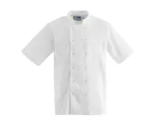 Whites Boston B250